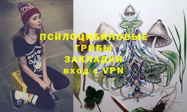 спиды Болхов