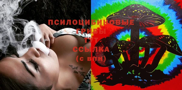 прущие грибы Новокубанск