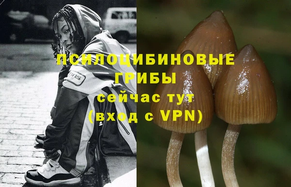 МДПВ Верея