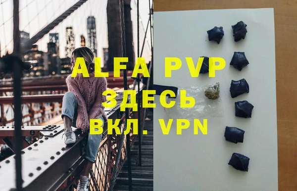 прущие грибы Новокубанск