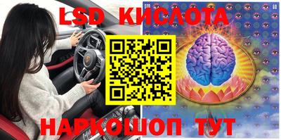 PSILOCYBIN Гай
