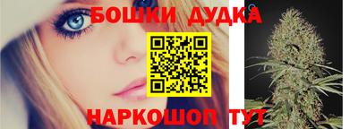 МДПВ Гагарин