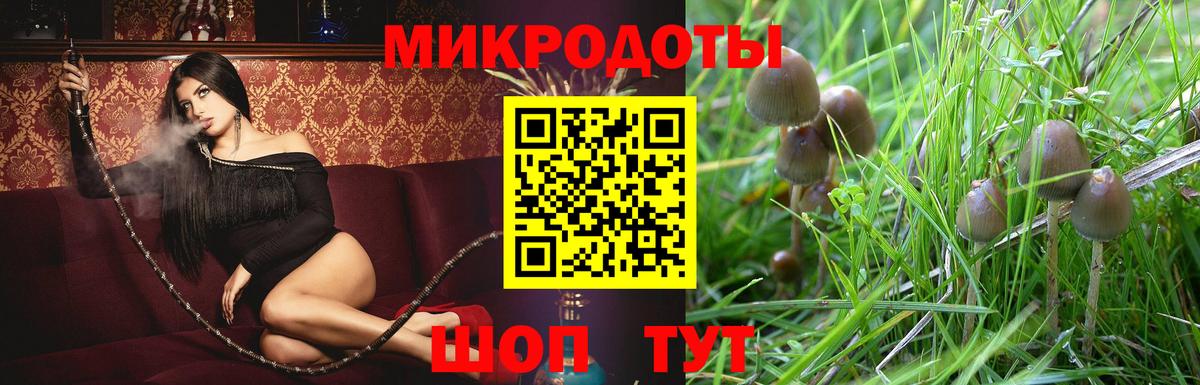 Шуя  Псилоцибиновые грибы MAGIC MUSHROOMS  Вход с VPN 